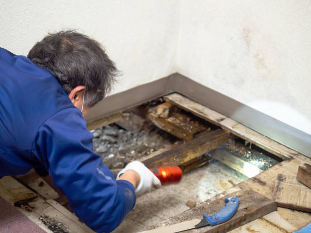Water Damage Restoration in Canyon Lake, CA