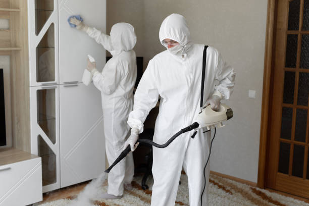 Best Same-Day Mold Removal  in Nyon Lake, CA