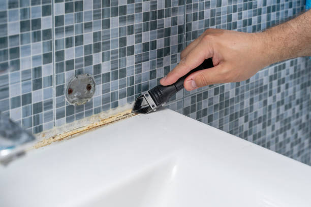 Canyon Lake, CA Mold Removal Company