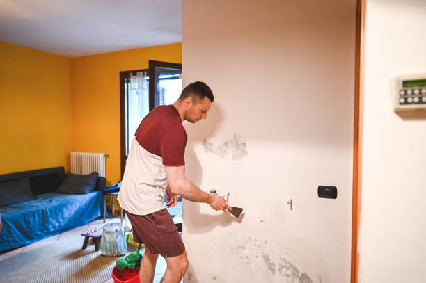 Best Affordable Mold Removal  in Nyon Lake, CA